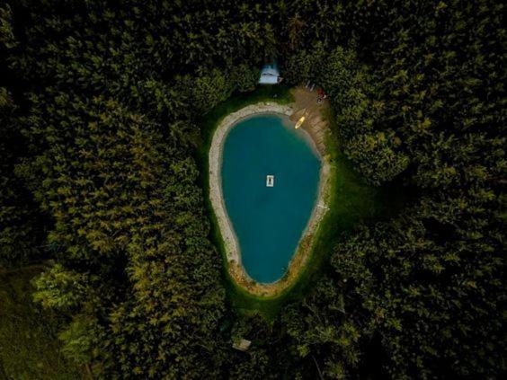 A Rustic Cabin In The Woods Orangeville Esterno foto